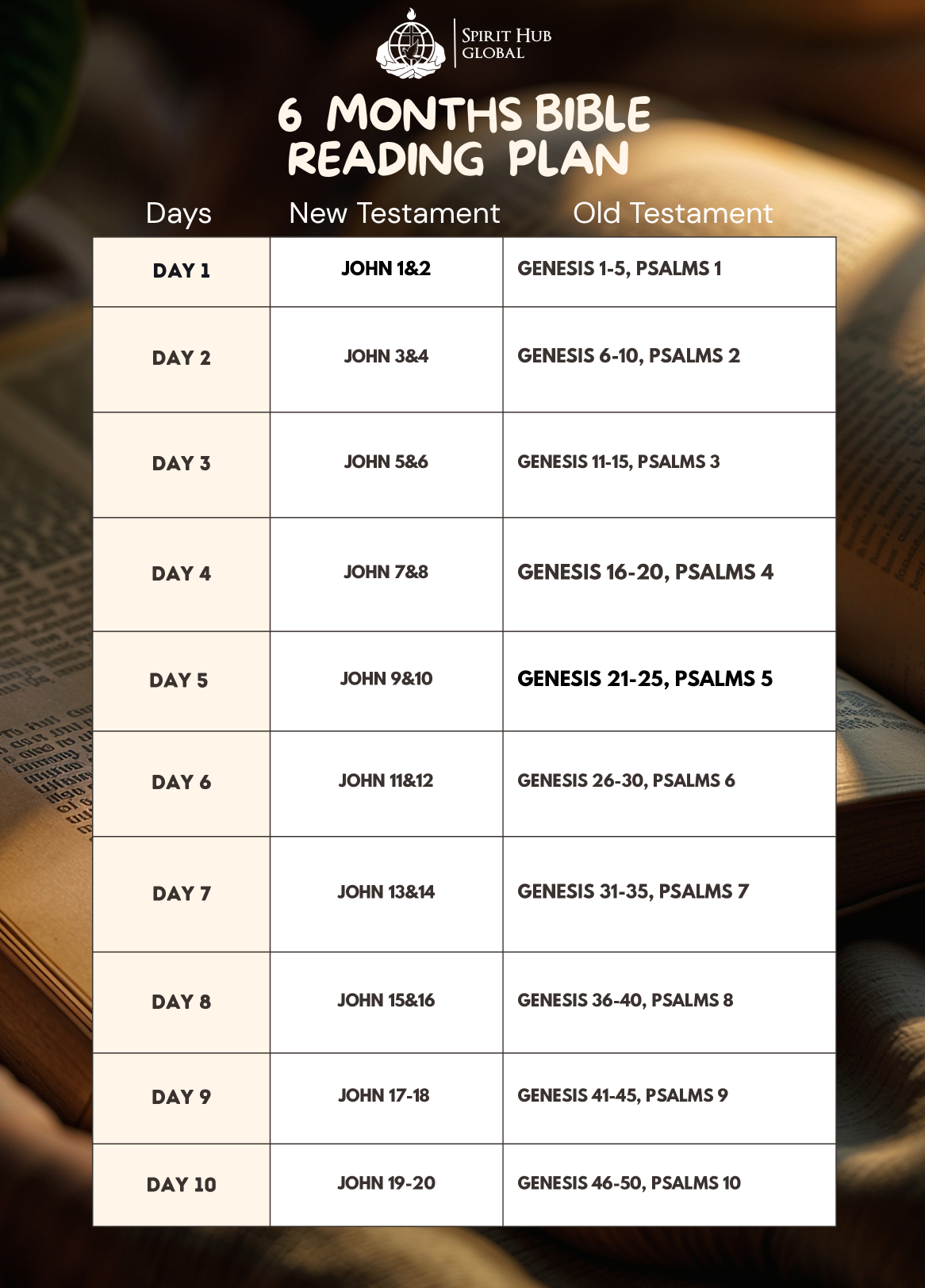 Cover of 6 Months Bible Reading Plan